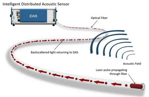 Distributed Acoustic Sensing