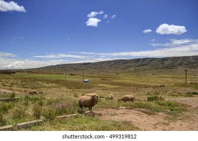 Tiwanaku Bolivia Stock Photo 499319812 | Shutterstock