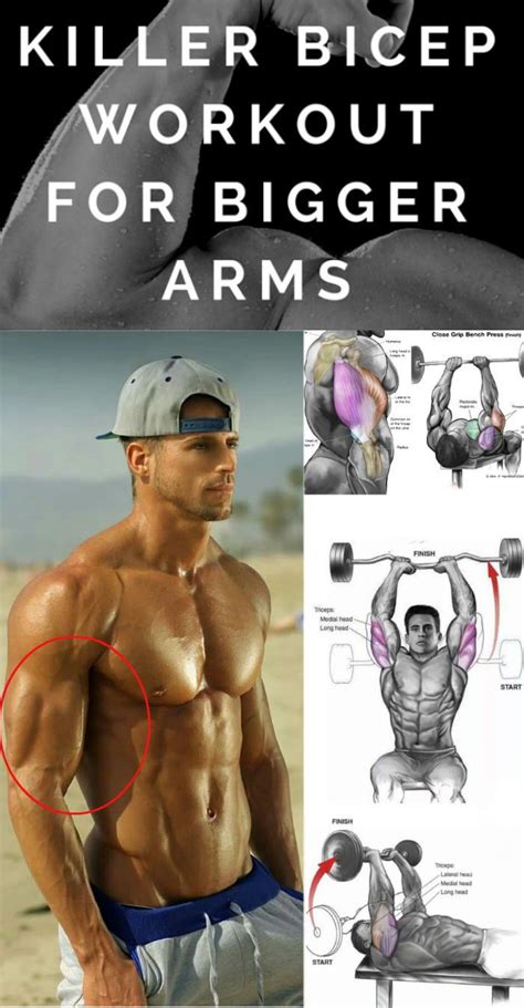 Shock Your Biceps And Triceps Into Growing Stronger With This Complete Arms Workout Gymguider