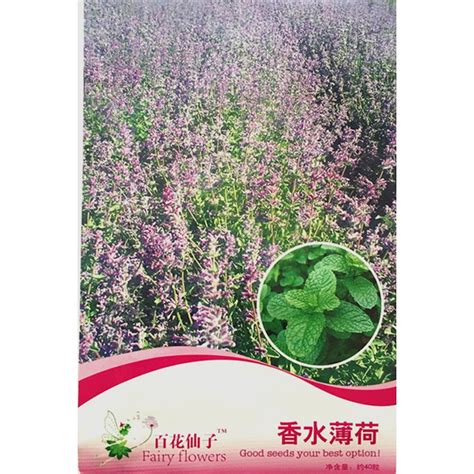 Mint Seeds Pelbagai Biji Benih Pudina Spear Mint Herbs Seeds Spearmint