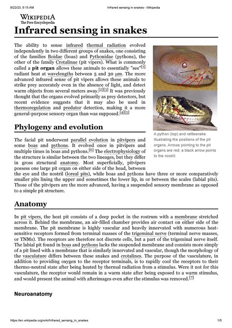 Infrared Sensing In Snakes Wikipedia Socu Rmit University