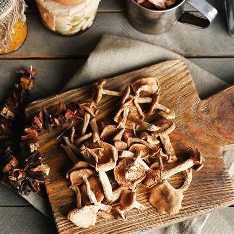 Das Solltet Ihr Beachten Pilze Getrocknete Pilze Gesunde Snacks