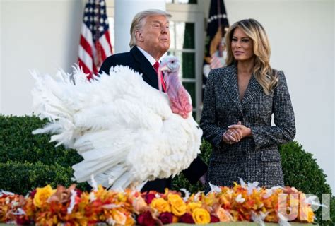 Photo President Trump Pardons The National Thanksgiving Turkey In