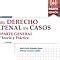 El Derecho Penal En Casos Parte General Teor A Y Pr Ctica Edici N