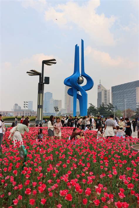 泉在济南过五一丨“郁”见美好！济南这里郁金香缤纷盛开，温馨浪漫 济南社会 舜网新闻