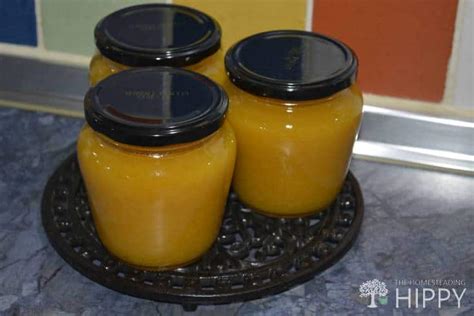 Delicious Yellow Plum Jam Recipe