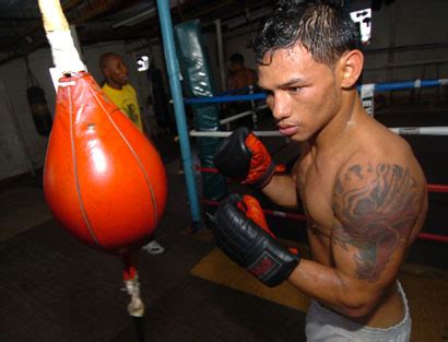 1ro Box El NICA Con Piensos En Cinturon Plata Del CMB