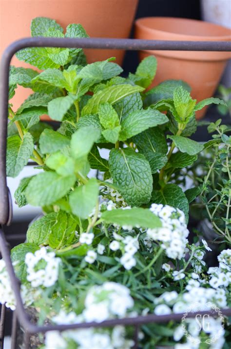 Mason Jar Herb Garden Stonegable