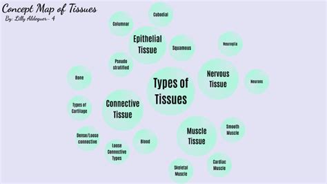 Tissue Integrity Concept Map