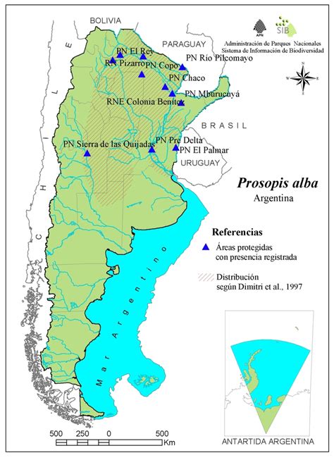 Neltuma Alba Algarrobo Blanco Sib Parques Nacionales Argentina