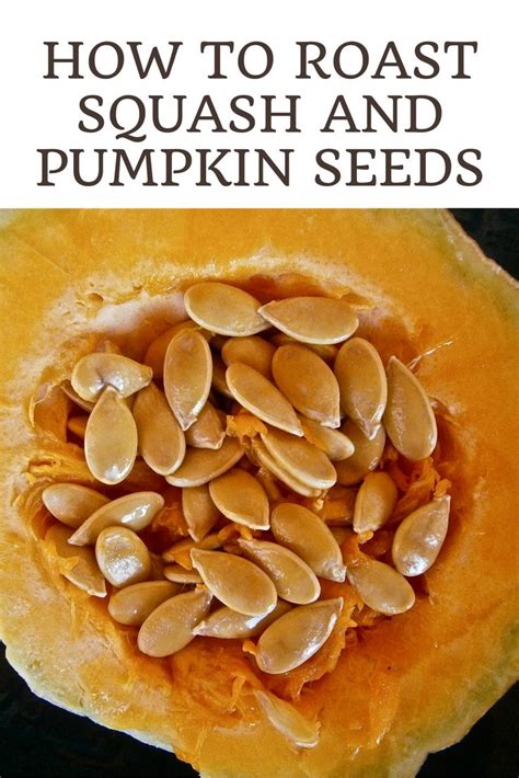 How To Roast Squash And Pumpkin Seeds Mother Earth News Pumpkin