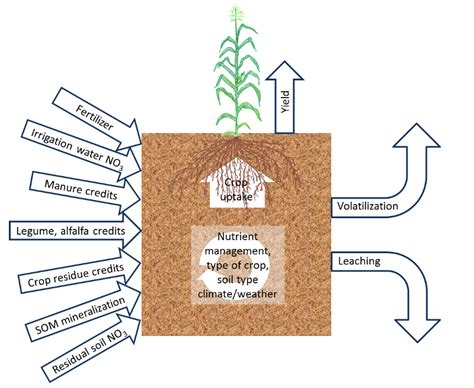 CDFA FREP CA Fertilization Guidelines Field Specific Nitrogen