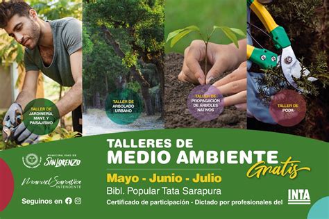 Talleres Gratuitos De Medio Ambiente Municipalidad De San Lorenzo