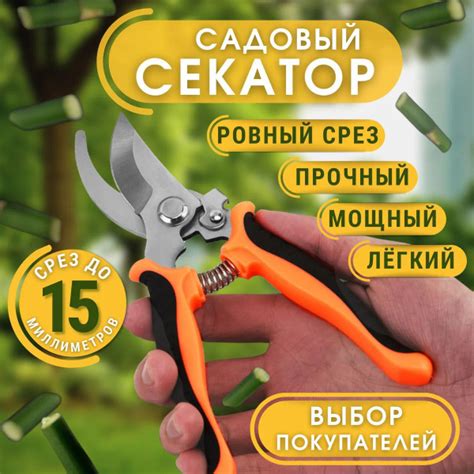 Секатор купить на OZON по низкой цене (1763479168)