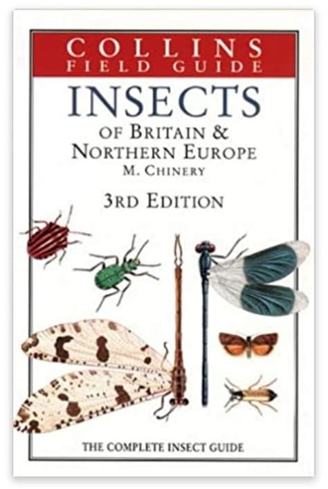 10 Of The Best Entomology Books (That I've Actually Read)