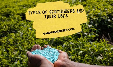 Different Types Of Fertilizers And Their Uses