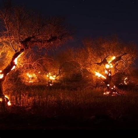 Enna Appicca Un Incendio Viene Beccato Dai Carabinieri E Tenta Di