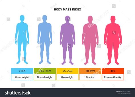 Bmi Chart Adults: Over 35 Royalty-Free Licensable Stock Vectors ...