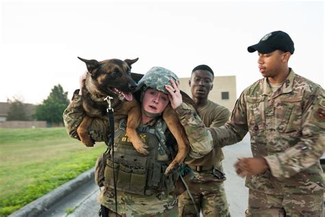 Dvids Images Peace Officers Memorial Day K9 Competition Image 12