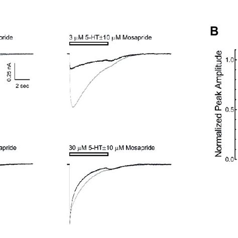 Concentration Dependent Inhibition Of 5 Hydroxytryptamine Type 3 5 Ht