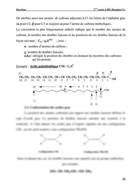 Solution Chapitre Les Lipides Studypool