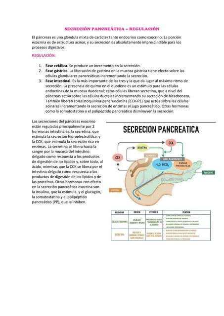 Secreción pancreática Regulación Yamilet Estrada uDocz