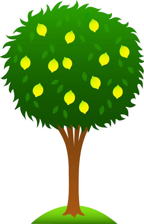 sitting   lemon tree song  kids english language resources