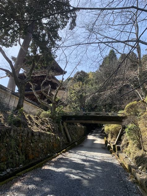 園城寺（三井寺）の御朱印・アクセス情報（滋賀県三井寺駅）（天台寺門宗）ホトカミ