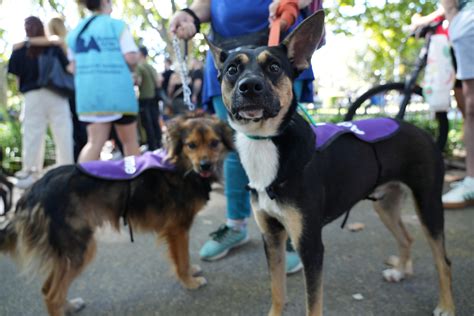 Los imperdibles para disfrutar el fin de semana en Buenos Aires