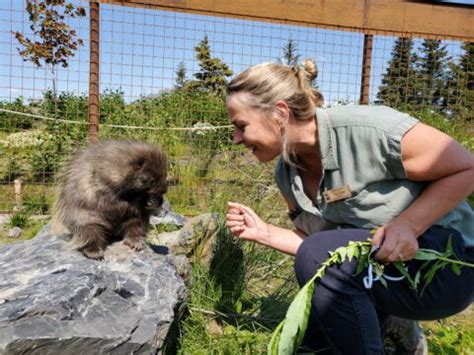 Tours - Alaska Wildlife Conservation Center