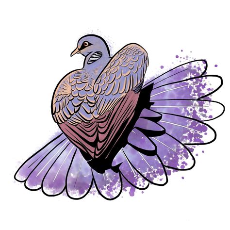 Mourning Dove Digital Watercolor By Wateryberry On Deviantart