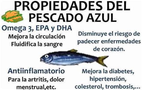 Cuáles son los beneficios del pescado azul Veganplace