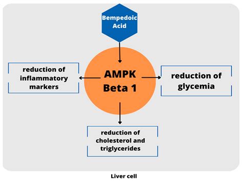 Future Pharmacology Free Full Text Bempedoic Acid And Statins In