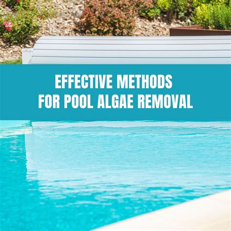 Effective Methods for Pool Algae Removal – AquaDoc