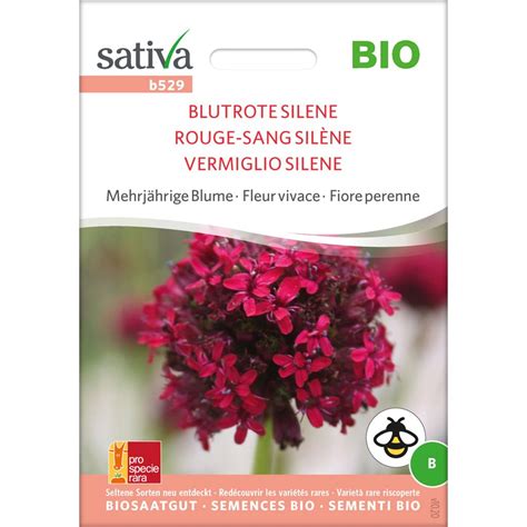 Sativa Bio Mehrj Hrige Blume Blutrote Silene Packung Bloomling