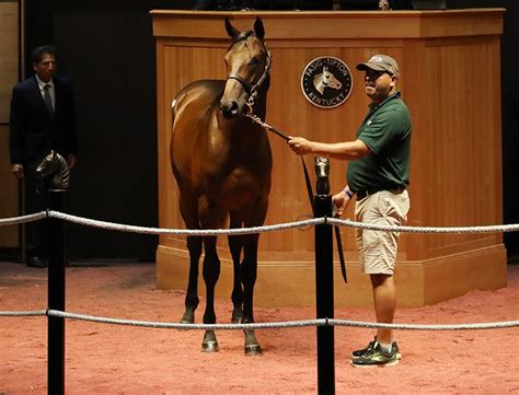 Ocala Stud Thoroughbred Stallion Farm