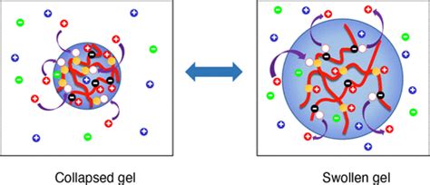 Charge Regulation Of Polyelectrolyte Gels Swelling Transition Macromolecules