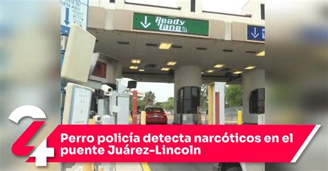 Perro Polic A Detecta Narc Ticos En El Puente Ju Rez Lincoln