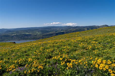 Hiking the Coyote Wall Trail: Everything You Need to Know