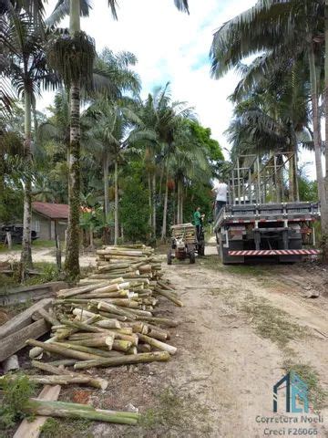 Chácara Sítio propriedade produtiva 30 hectares plantação de