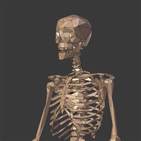 Skeleton Cartoon Low Poly D Modell Blend Ds Dae Fbx Obj