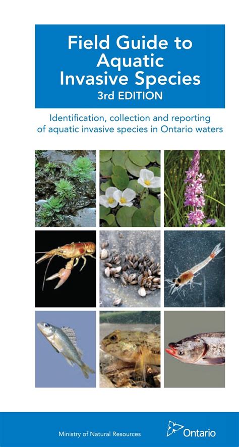 field guide  aquatic invasive species ministry  natural