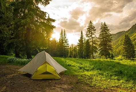 Lfeey 5x3ft Pine Forest Camping Background For Photography