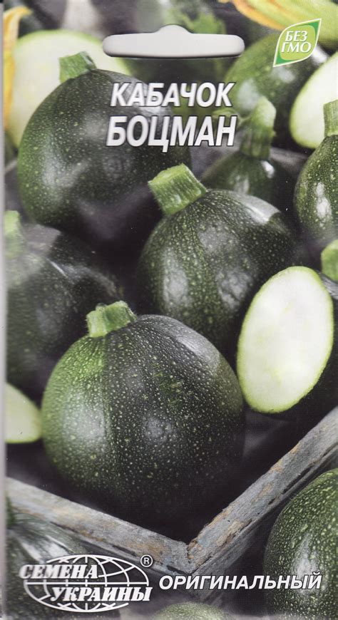 Squash Zucchini Seeds Botsman Organic Heirloom Vegetable Seed - Etsy