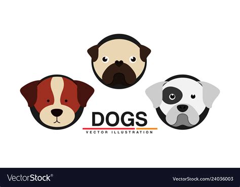 veterinary centre design royalty  vector image