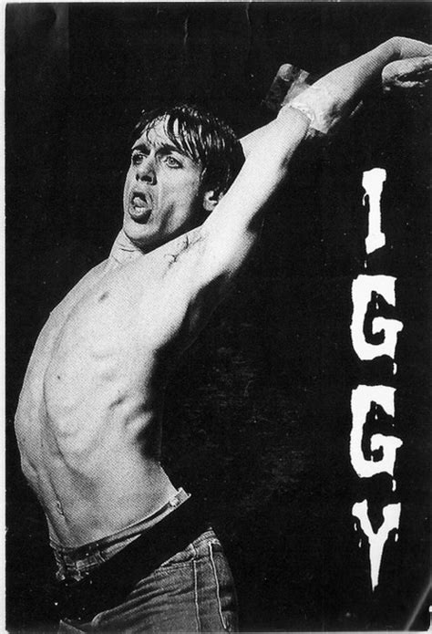 Pin By James Montejano On Rock Star Iggy Pop Iggy The Stooges Rock Music