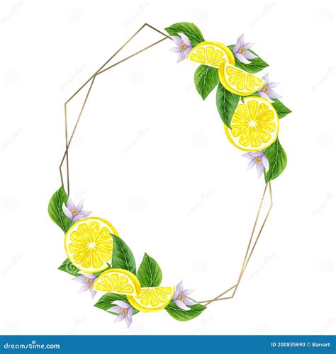 Watercolor Lemon Wreath Hand Drawn Frame With Lemons And Leaves Stock