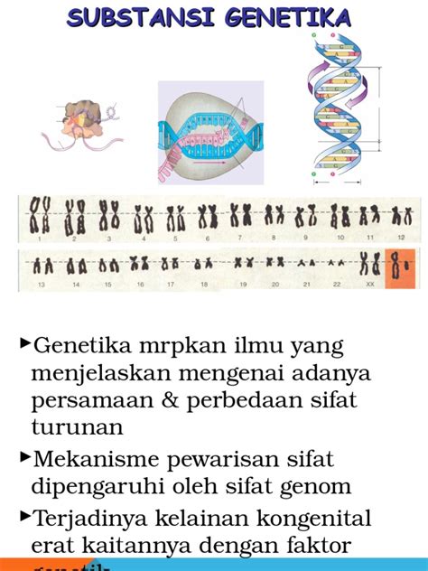 PDF Substansi Genetik Ppt DOKUMEN TIPS