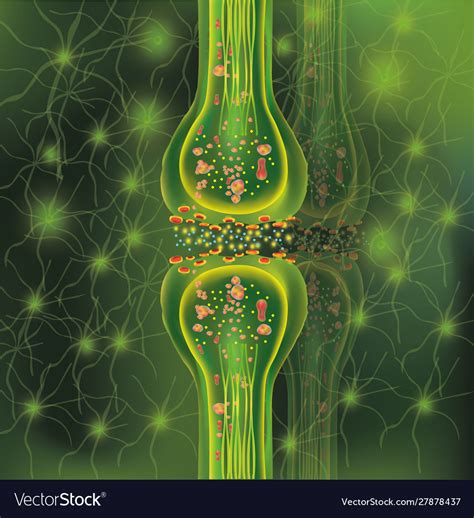 3d Synapse And Neuron Cells Transmission Signal Vector Image