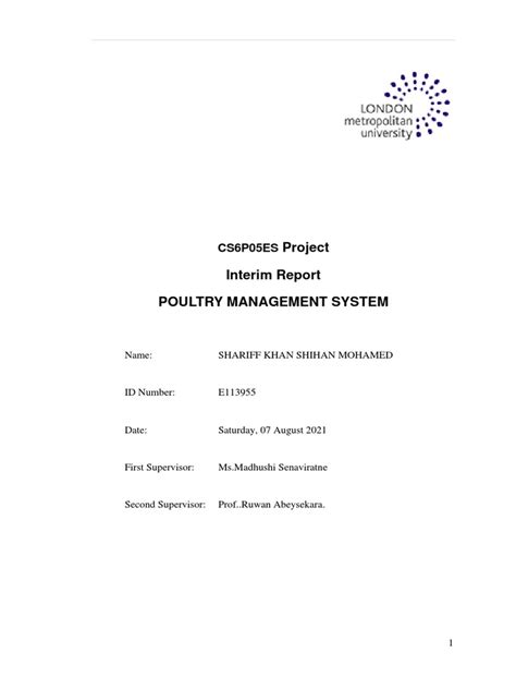 Interim Report Template - CS6P05ES (070821) | PDF | User (Computing ...